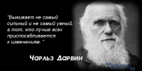"выживает сильнейший"
---------------
Ага... ты это динозаврам скажи.