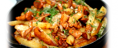 Не задумывались, почему лисички никогда не бывают червивыми?