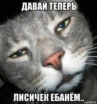 Не задумывались, почему лисички никогда не бывают червивыми?