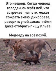 Не надо слов благодарности