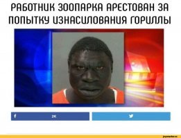 Они это постоянно путают.