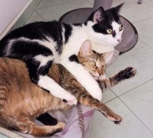 У наших привычка спать в обнимку :)