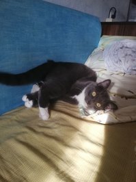 Носится не только перед тем как в туалет пойти,но и после.