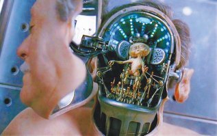 Найдено неожиданное место скопления бактерий в организме