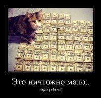 Очень колоритные уличные коты