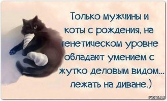 6 странных кошачьих привычек, которым, оказывается, есть объяснение