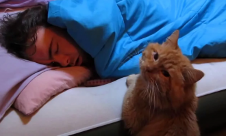 Теперь моё резюме..
~ я владею 16ью языками в том числе и древне китайский, хинди , диалекты древних греков, племен мая, владею знаниями письменности египтяе, в совершенстве общаюсь со всеми племенами средней африки, побывал на марсе, луне, юпитере на всех его спутниках в том числе на ио.. могу сказать одно там не очень доброжелатеоьные юпитерчане... хотел с ними подраться, так как владея таквонд айкидо, каратэдо, и еще многими страшными словамт...так вот, настало 5 утра... и я улышал межгалактическое МАААу, вставай интерстеллар херов я жрать хочу