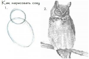 20 невероятных картин, написанных обычной шариковой ручкой