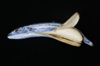 Скоро на всех дачах страны...