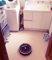 Бедный пёс :) Сегодня видел такой пылесос в магазине. Со скидкой 599 баксов