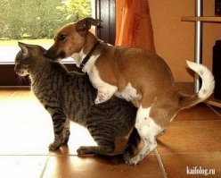 Свежая подборка демотиваторов, которые поднимут вам настроение