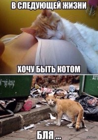 Свежая подборка демотиваторов, которые поднимут вам настроение