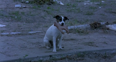 Белград, часть 1 — прогулка по городу (начало)