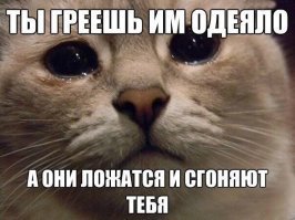 20 бесящих вещей, которые люди все равно делают на публике