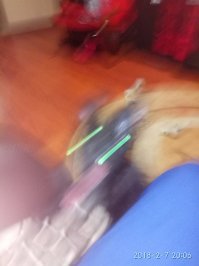 Пёс Шрёдингера.