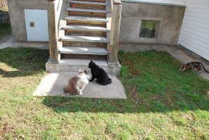 кароч, нормально поохотиться сегодня не получается.. не дают..