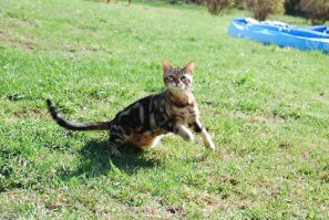 некоторые вообще ничего не понимают в охоте..