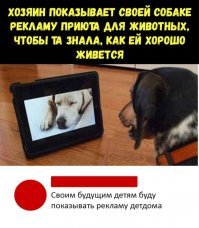 Осторожно: уровень сарказма в посте зашкаливает