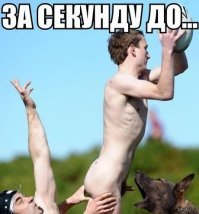 19 душещипательных снимков, на которых через секунду произойдет неизбежное