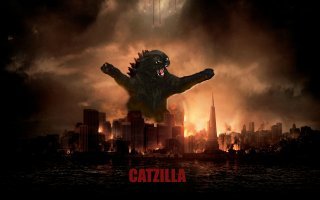 Фотоподборка за 13.11.2018