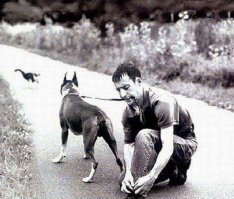 19 душещипательных снимков, на которых через секунду произойдет неизбежное