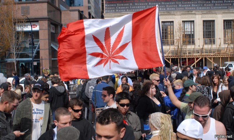 Канадцам посоветовали прятать марихуану