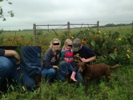 19 душещипательных снимков, на которых через секунду произойдет неизбежное