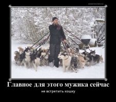 19 душещипательных снимков, на которых через секунду произойдет неизбежное