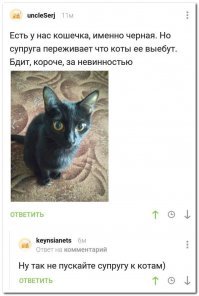 Не понял. Если её коты вые"№т она побелеет что-ли?