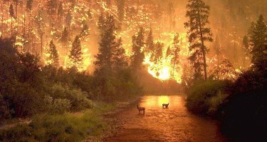 забайкалье