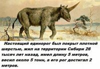 Тогда еще были девственницы...)))