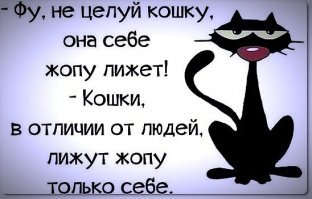 Прикольные и смешные картинки