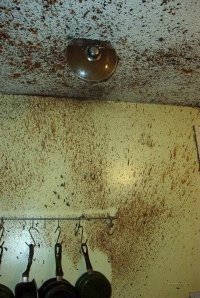 Захотел сварить сгущёнку. Ожидание и реальность