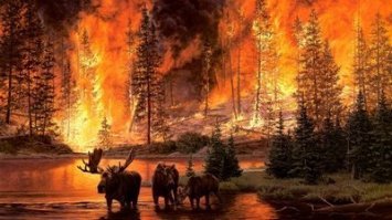 Страшные кадры спутниковых снимков . Массовая гибель животных и птиц, жалко, флора и фауна погибнет. Кто сможет - перекочевывают в другие места. Но много животных просто сгорит, особенно молодых. Зайчата, лисята, мелкие грызуны погибнут практически все. Та же картина и с птицами. Сгорят почти все птенцы.  А копытные - кабаны, олени, лоси смогут спастить, если найдут водохранилище какое-нибудь. Вообще печально и жалко(((
