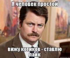 Правдивая история о котенке-крохе, который в одиночку оптимизировал работу всего офиса