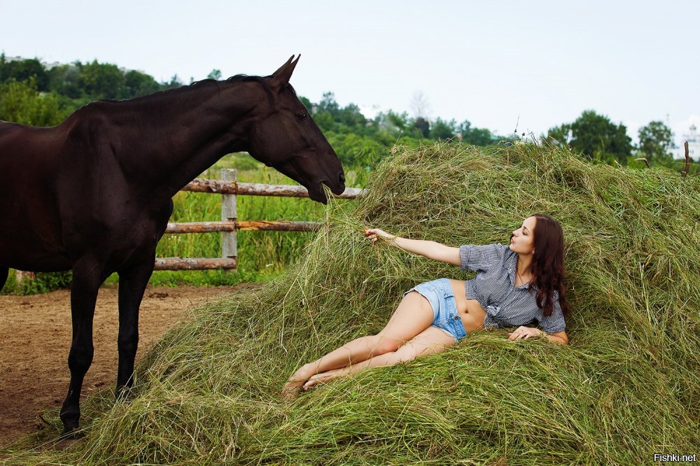 Хочу быть лошадью. Телки лошади. Телка кобыла. Девушка с лошадью. Конь лежит на траве.