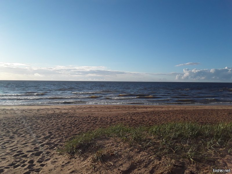 Держи, Сосновый Бор, сегодня фоткал))