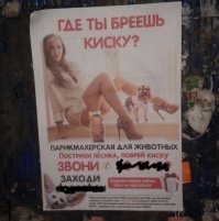 Реклама побрей киску меня убила напрочь. Юмористы блин!