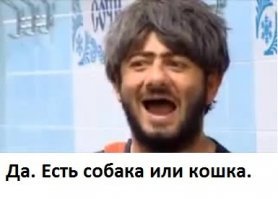 Картинки с надписями для настроения