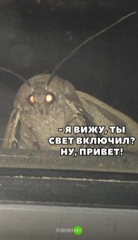 Картинки с надписями для настроения