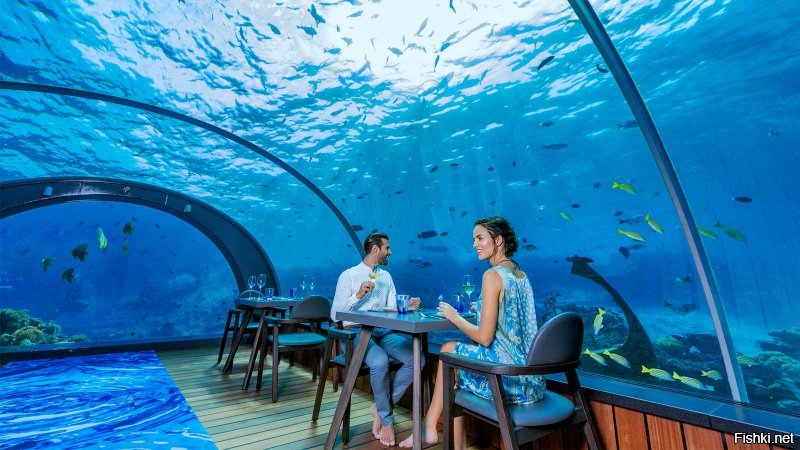 Этот круче 

«5.8» - самый большой в мире панорамный подводный ресторан – Hurawalhi Maldives – ресторан на Мальдивах