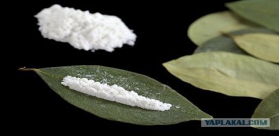 Кокс в Боливии.