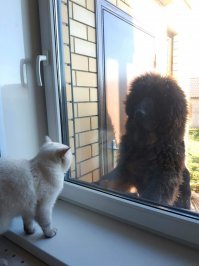 Наш Барни, вероятно, именно так и думает)