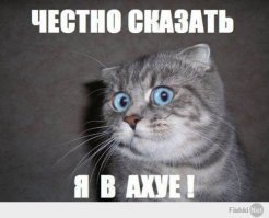 Испепелить ведьму