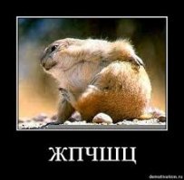 Прикольные и смешные картинки