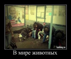 Наглядное доказательство существования параллельных миров