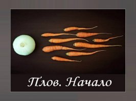 Прекратите уже обманывать депутатов, они ведь тоже люди!