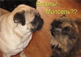 Эпоха дефицита: 10 народных идей из советских журналов