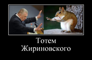 Победители конкурса Comedy Wildlife Awards 2018: медведь с разболевшейся головой и танцующие вараны