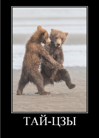 Победители конкурса Comedy Wildlife Awards 2018: медведь с разболевшейся головой и танцующие вараны